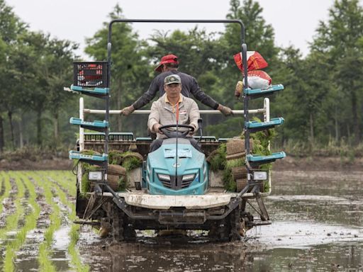 Heavy Rains Threaten China’s Rice as Extreme Weather Grips South