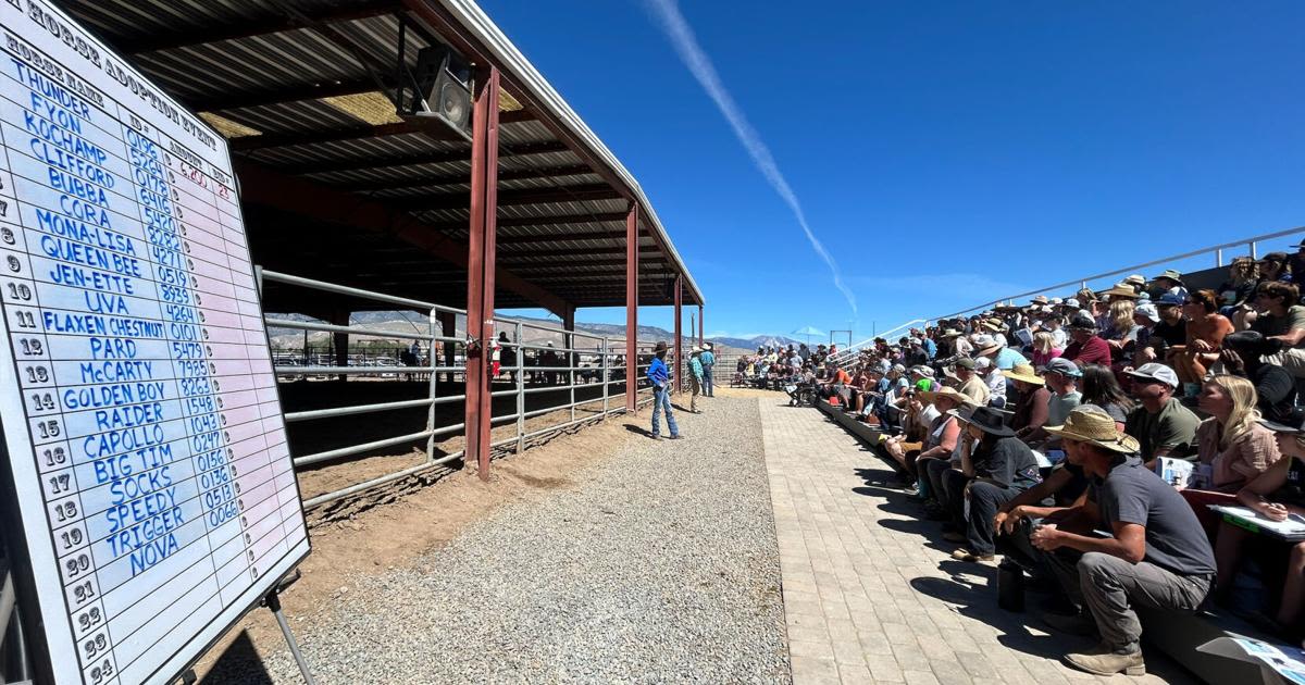 Inmate-trained wild horses find new homes