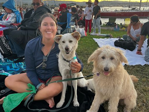 Leilani the Goldendoodle rescued 2 days after fleeing Fourth of July fireworks in Bay Area