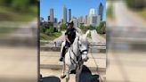 Hercules, beloved Atlanta Police Department patrol horse, dies after 16 years of service