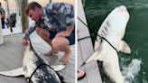 Watch: 'Incredibly Rare' Piebald Shark Caught and Released in Florida