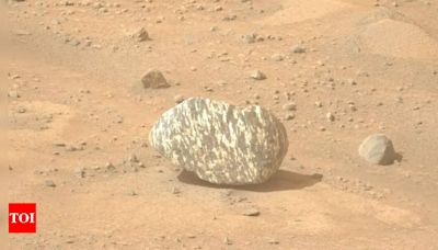 NASA discovers ‘zebra’ rock on Mars: This is what it could mean for martian exploration - Times of India