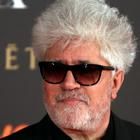 Pedro Almodóvar