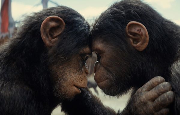‘Kingdom of the Planet of the Apes’ Review: The Franchise Essentially Reboots with a Tale of Survival Set — At Last — in the Ape-Ruled Future