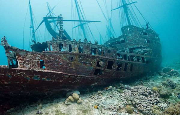 Treasure Hunters Make Astonishing Discovery in 300-Year-Old Shipwreck