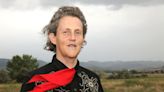 Animal scientist, autism self-advocate Temple Grandin to present at Palm Springs Speaks