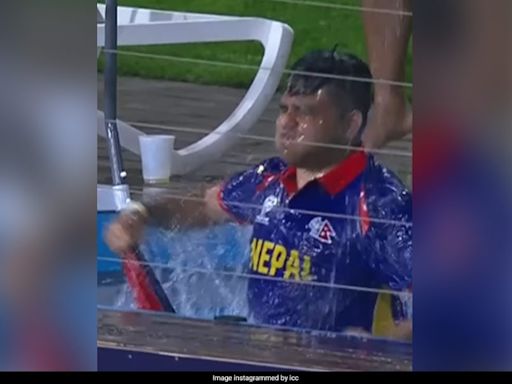 Nepal Fan Jumps Into Pool To Celebrate Bangladesh Star's Wicket In T20 World Cup Match. Watch | Cricket News