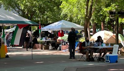 Demonstrators gather at Sacramento State in Gaza war protest