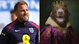 Harry Kane set to be joined by his dog at Euro 2024 as England team mock up hilarious royal portraits of squad's beloved pets | Goal.com UK