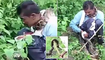 Man snared by 17-foot python saved by bystanders who axed reptile to pieces