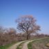 San Luis National Wildlife Refuge