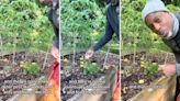 Farmer shares unbelievably simple hack for pest-free garden: ‘This is an awesome tip’