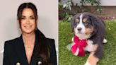 Kyle Richards Introduces New Puppy and Ask for Help with a Name: 'She Was Meant to Be Ours'
