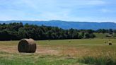 Hay In May