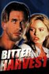 Bitter Harvest (1993 film)