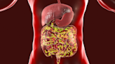 Our social decision-making could be influenced by gut microbiota
