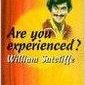 Are You Experienced? (novel)