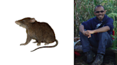 Filipino biologist honored by naming long-nosed shrew mouse after him