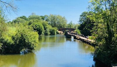 The stunning riverside walk that ends with Essex's 'best kept secret' waterfall