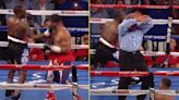 Terence Crawford left 'next Floyd Mayweather' on canvas with ferocious uppercut