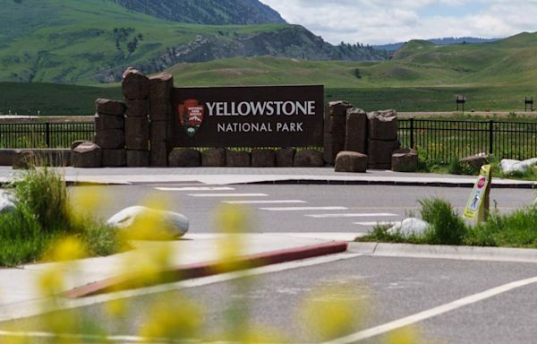 Yellowstone trip ends with a man being arrested for kicking a bison