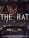 The Rat