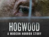 Hogwood: A Modern Horror Story