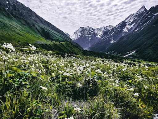 Uttarakhand’s Valley of Flowers all set to welcome travellers from June 1; all details here