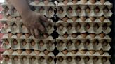 MCA chief suggests egg price cut could backfire on government