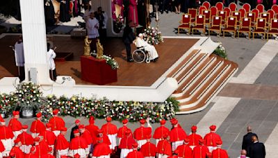 Pope's diverse choices of new cardinals won't smooth path for successor