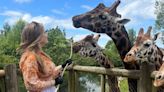 'I fed the giraffes at Chester Zoo - but then realised we'd made a big mistake'