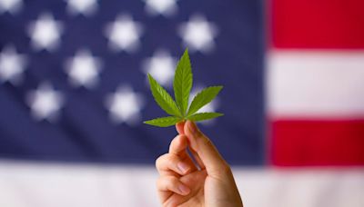 DEA Agrees To Reclassify Marijuana Under Federal Law, AP Reports