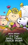 Snoopy Presents: It's the Small Things, Charlie Brown