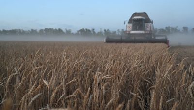 Cuatro regiones agrícolas rusas, en estado de emergencia por lluvias torrenciales