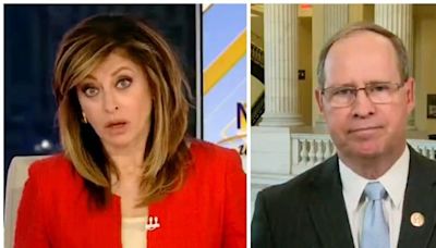 'Show me what?' Maria Bartiromo taken aback by Republican claiming proof of Biden drug use