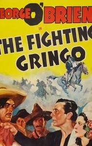 Fighting Gringo