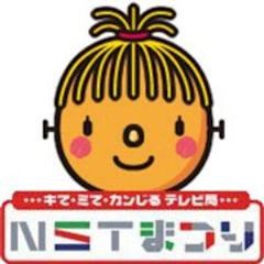 Niigata Sogo Television