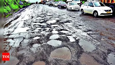 Potholes on Nashik-Mum highway causing travel delays | Nashik News - Times of India