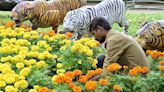 Independence Day flower show to open on August 8