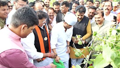 Indore: 50k People To Break Record By Planting 11 Lakh Trees On July 14