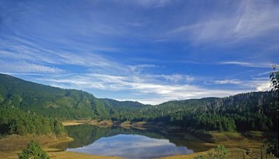 【旅遊省錢術】國家森林遊樂區7月起推優惠～150元暢遊宜花東國家森林遊樂區、抽阿里山栩悅號鐵道環島5日遊！