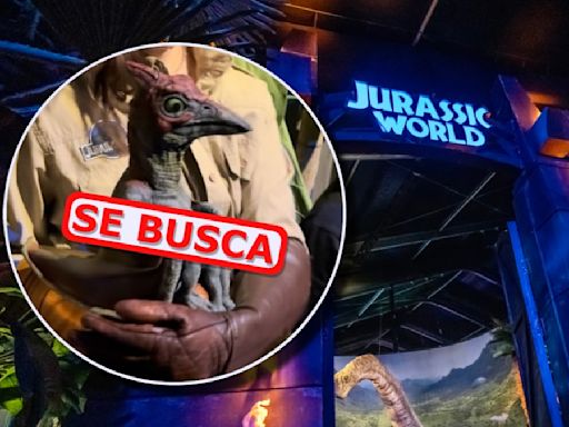 Cuando despertó, el dinosaurio ya no estaba allí: esto se sabe de robo en expo Jurassic World en Perisur