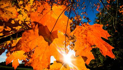 Here's when Michigan's fall colors are predicted to peak