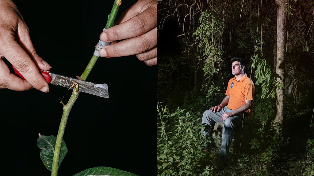 Sicilian farmers on the frontline of climate change spotlighted by Earth Photo 2024 winner