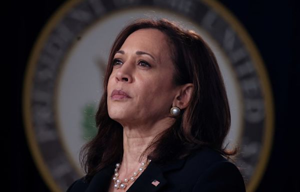 Donald Trump Ekes Out One Point Lead Over Kamala Harris in New Poll