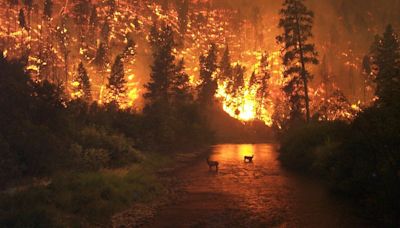 Bill Monroe: Raging Oregon fires could affect fall hunting