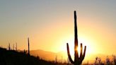 Saguaro National Park offers travelers an iconic slice of the Southwest