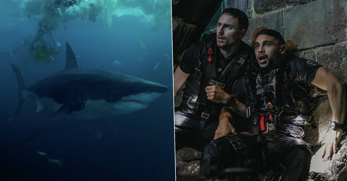 Netflix’s new thriller is a massive hit, with fans and critics calling it “one of the best shark movies ever made” and even comparing it to Jaws