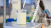 Cow-free milk? Scientists engineer yeasts, plants with bovine genes