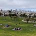 Mission Dolores Park